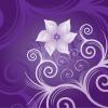 BACAU(BACAU) Florarie online Bacau